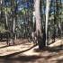 embalse de La Jarosa - Bosque Plateado  comida para la montaña como ponerse una mochila de montaña p